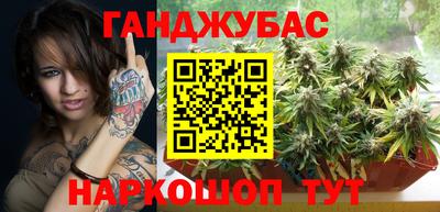 PSILOCYBIN Гатчина