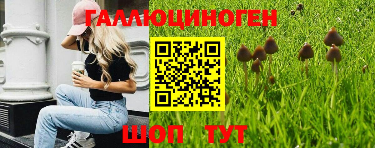 Галлюциногенные грибы мицелий Надым